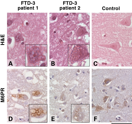 Figure 2.