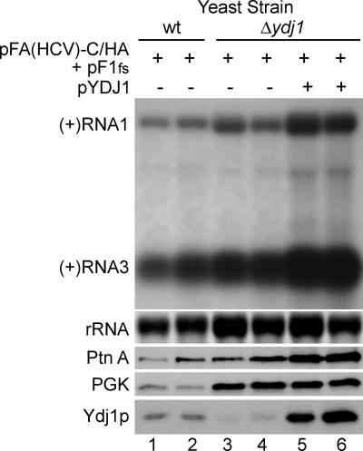 FIG. 5.