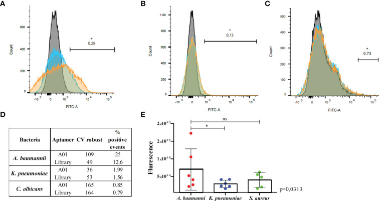 Figure 4