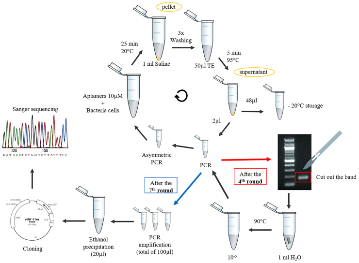 Figure 1