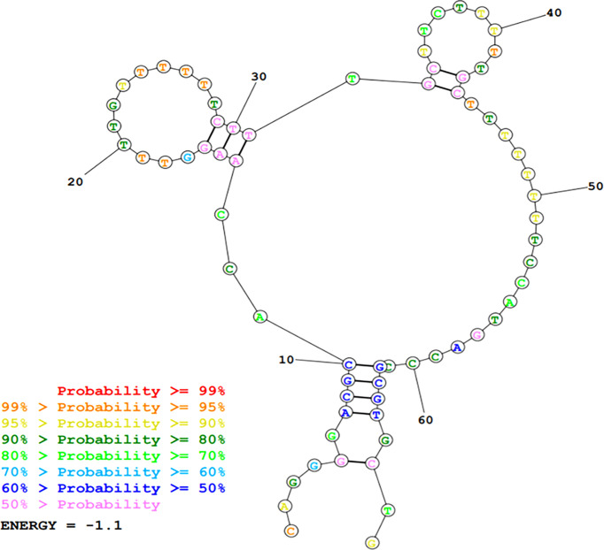 Figure 3