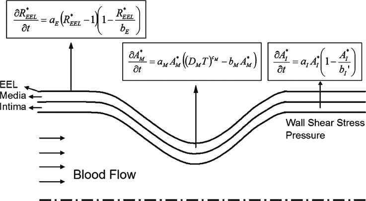 Fig. 8