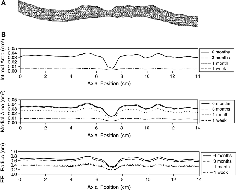 Fig. 12