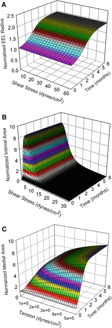 Fig. 6