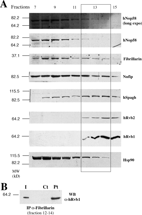 Figure 9.