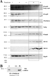 Figure 9.