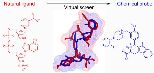 Figure 6