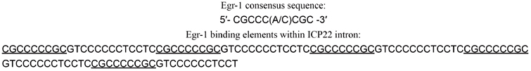 Box 1: Comparison of Egr-1 consensus sequence to HSV-1 Egr-1 binding elements in ICP22 intron