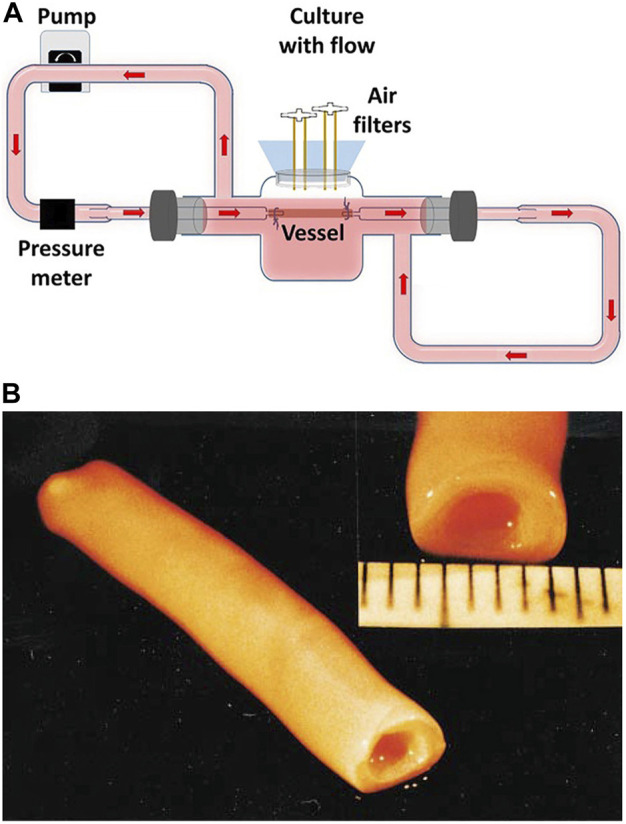 FIGURE 3