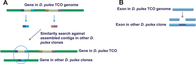 Fig. 1.—