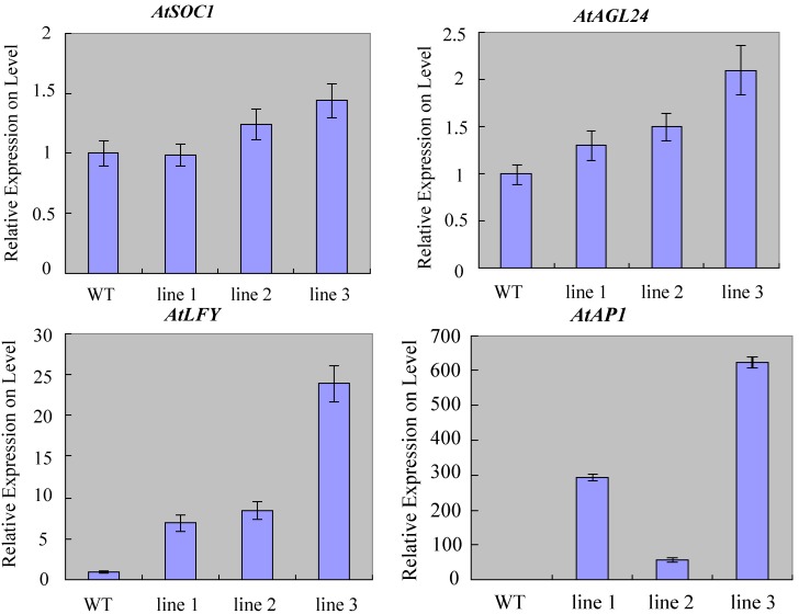 Figure 5