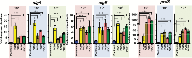 Figure 6.