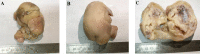Fig 5