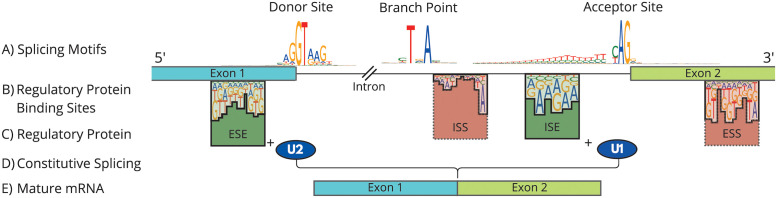 Fig 1