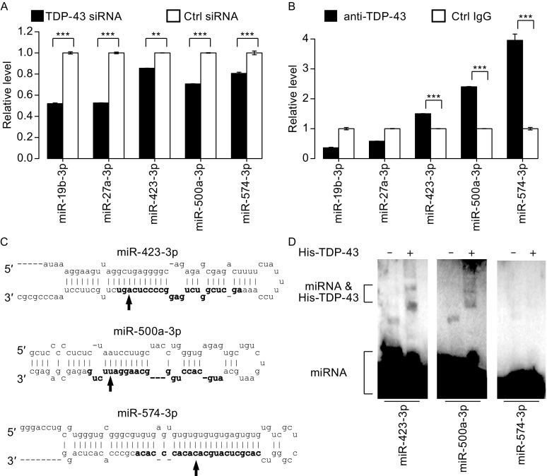 Figure 4