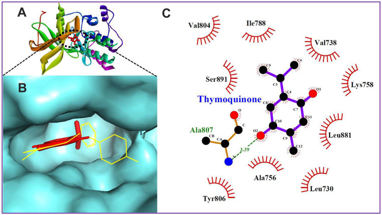 Figure 10