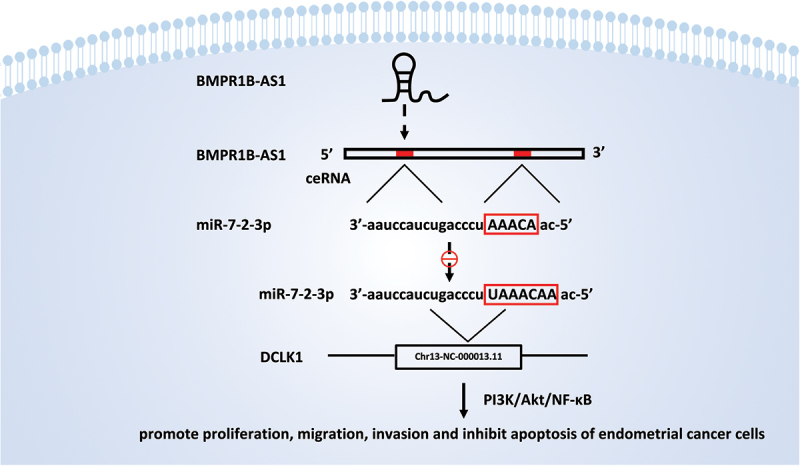 Figure 10.