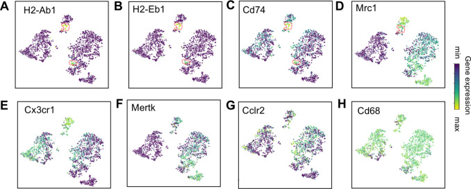 Figure 4—figure supplement 3.