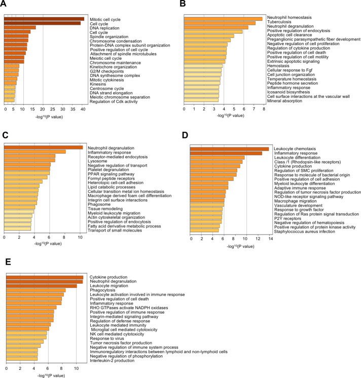 Figure 4—figure supplement 1.