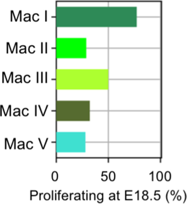 Figure 3—figure supplement 1.