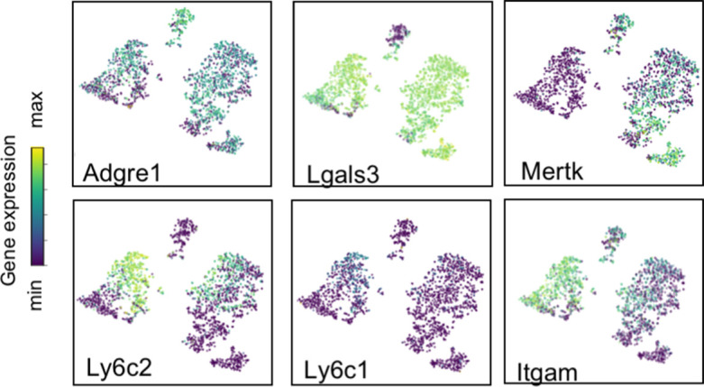 Figure 2—figure supplement 2.