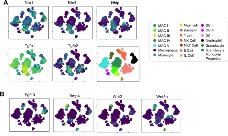 Figure 4—figure supplement 2.