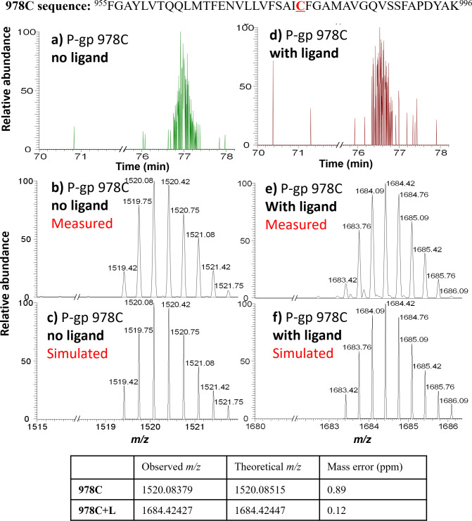 Figure 1—figure supplement 3.