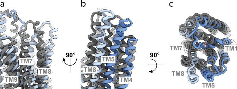 Figure 2—figure supplement 8.