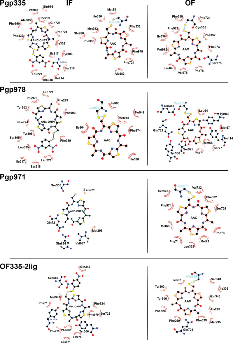 Figure 2—figure supplement 7.