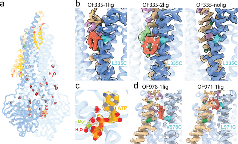 Figure 2—figure supplement 2.