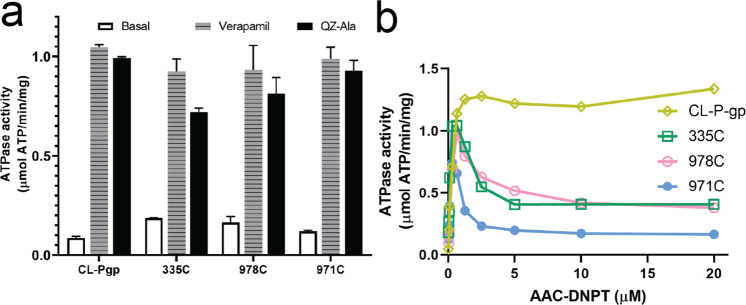 Figure 1—figure supplement 5.