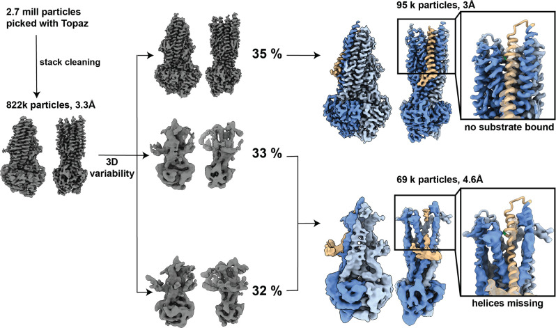 Figure 3—figure supplement 1.