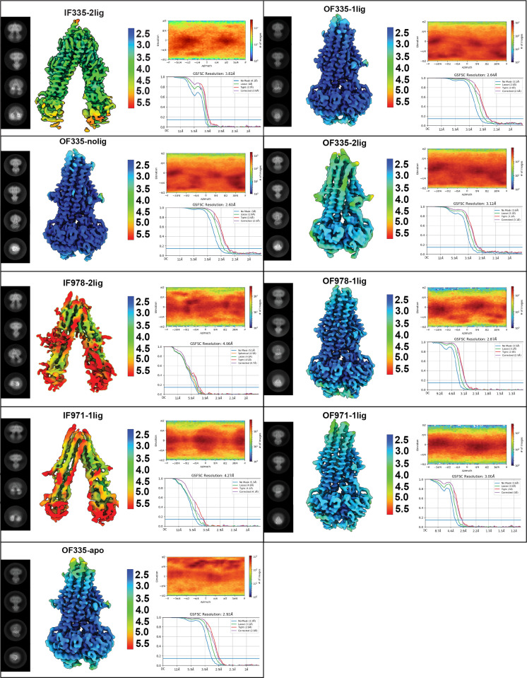 Figure 2—figure supplement 1.