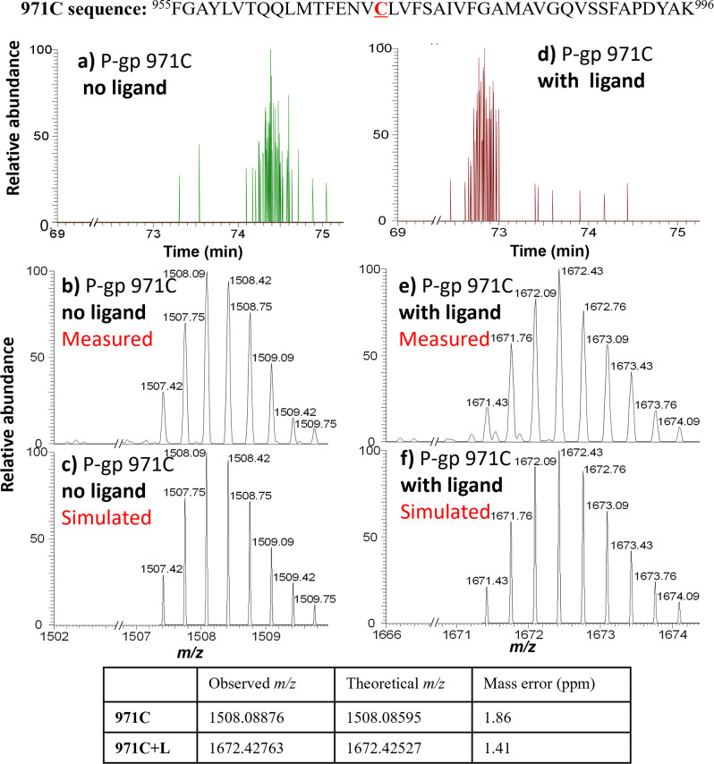 Figure 1—figure supplement 4.