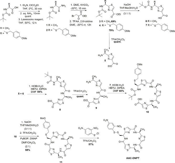 Figure 1—figure supplement 1.