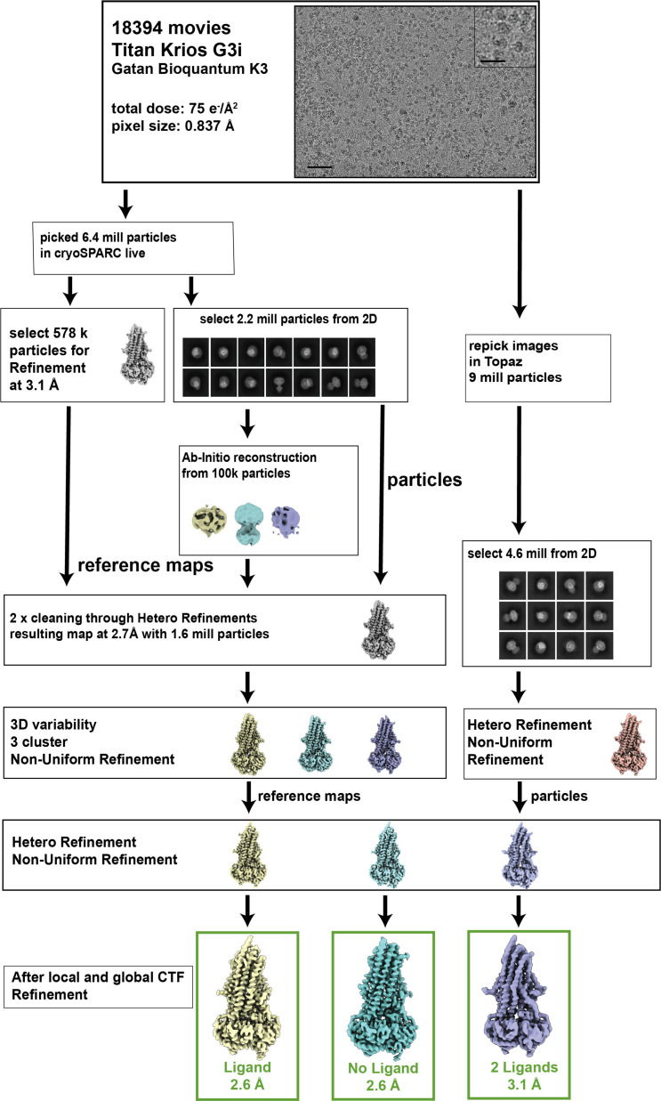 Figure 2—figure supplement 5.