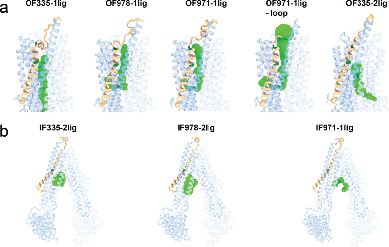 Figure 2—figure supplement 6.