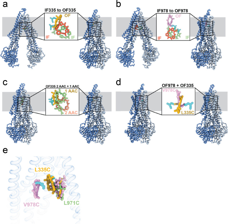 Figure 2—figure supplement 4.