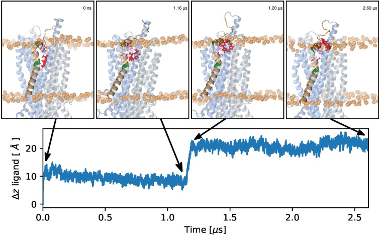 Figure 4—figure supplement 3.