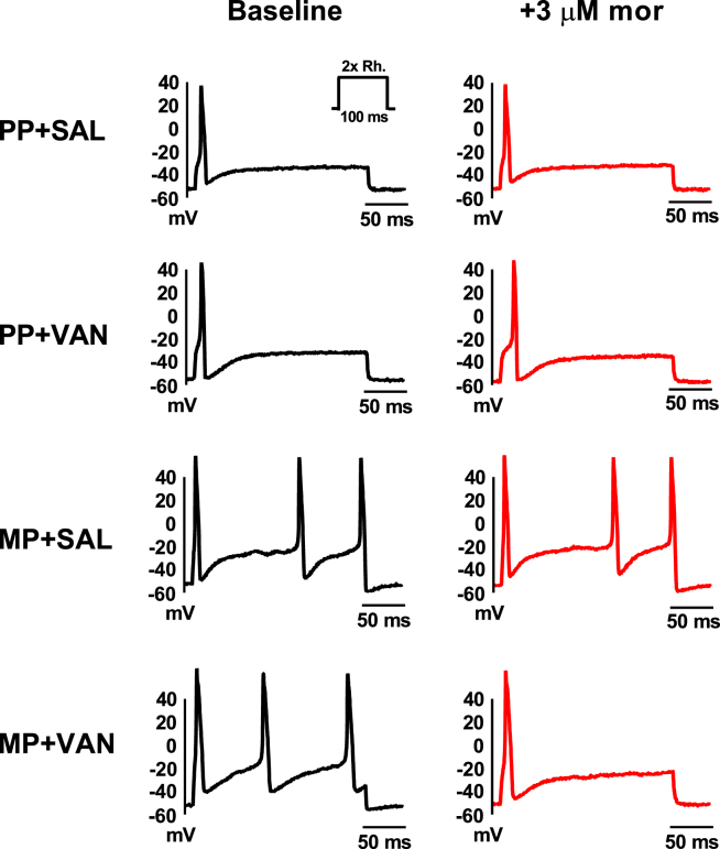 Figure 7