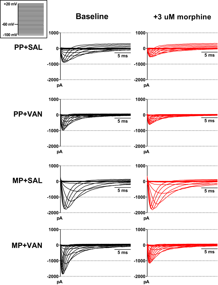 Figure 3