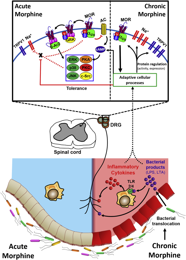 Figure 10