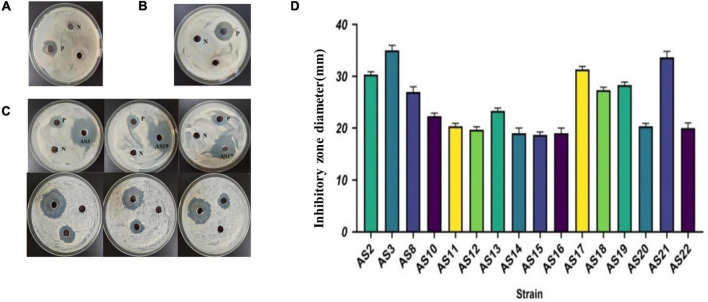 FIGURE 3