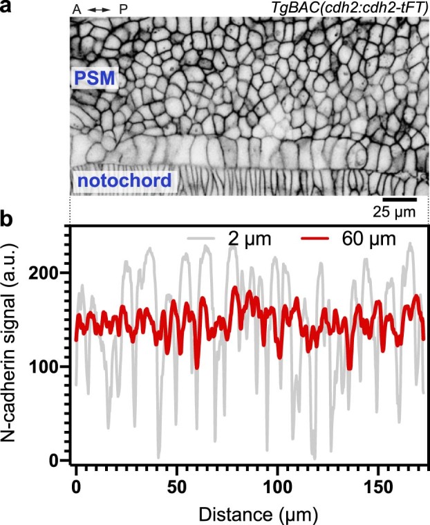 Extended Data Fig. 1