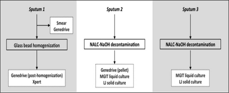 FIG 1