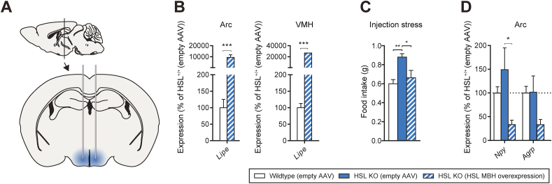 Figure 4