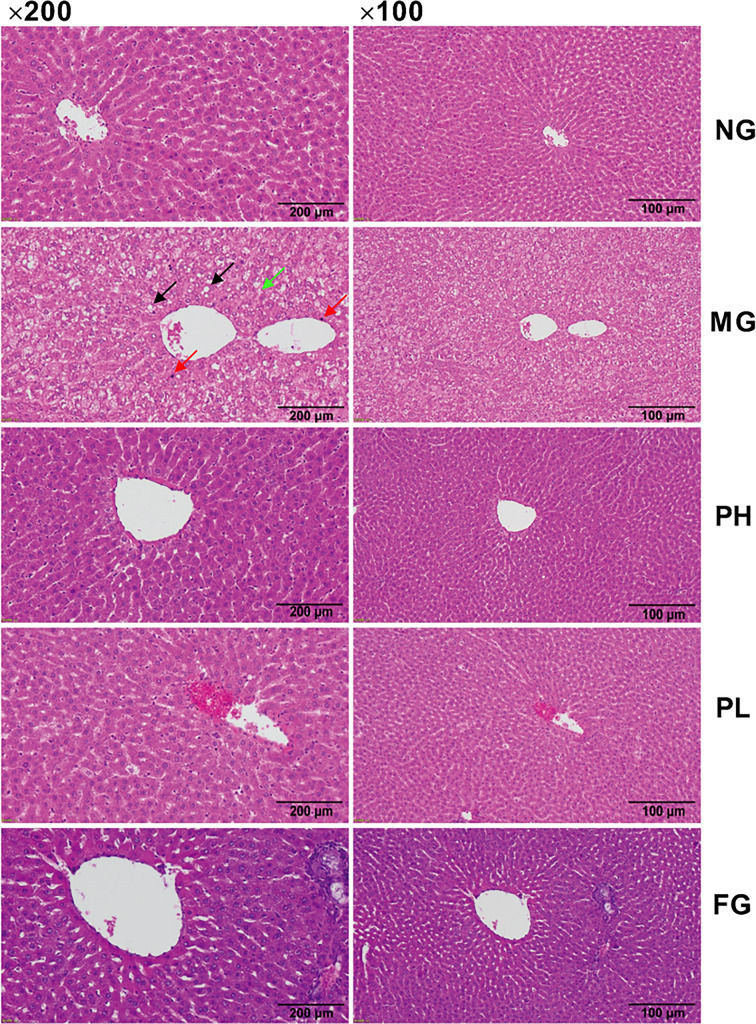 Figure 6