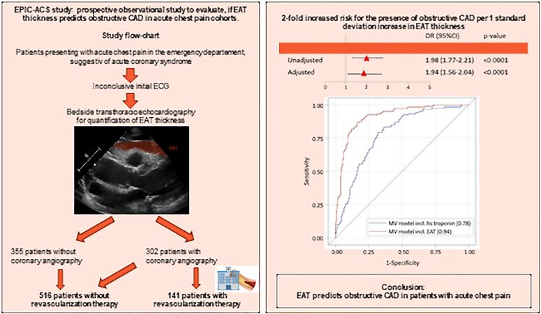 Graphical abstract