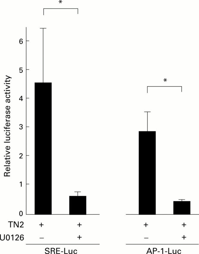 Figure 6  