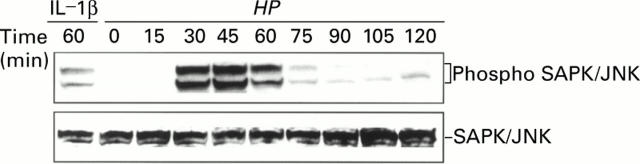 Figure 4  